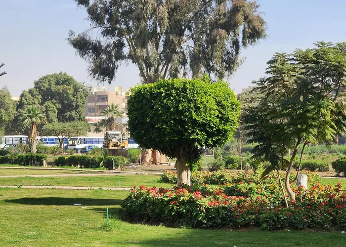 Maadi Oasis