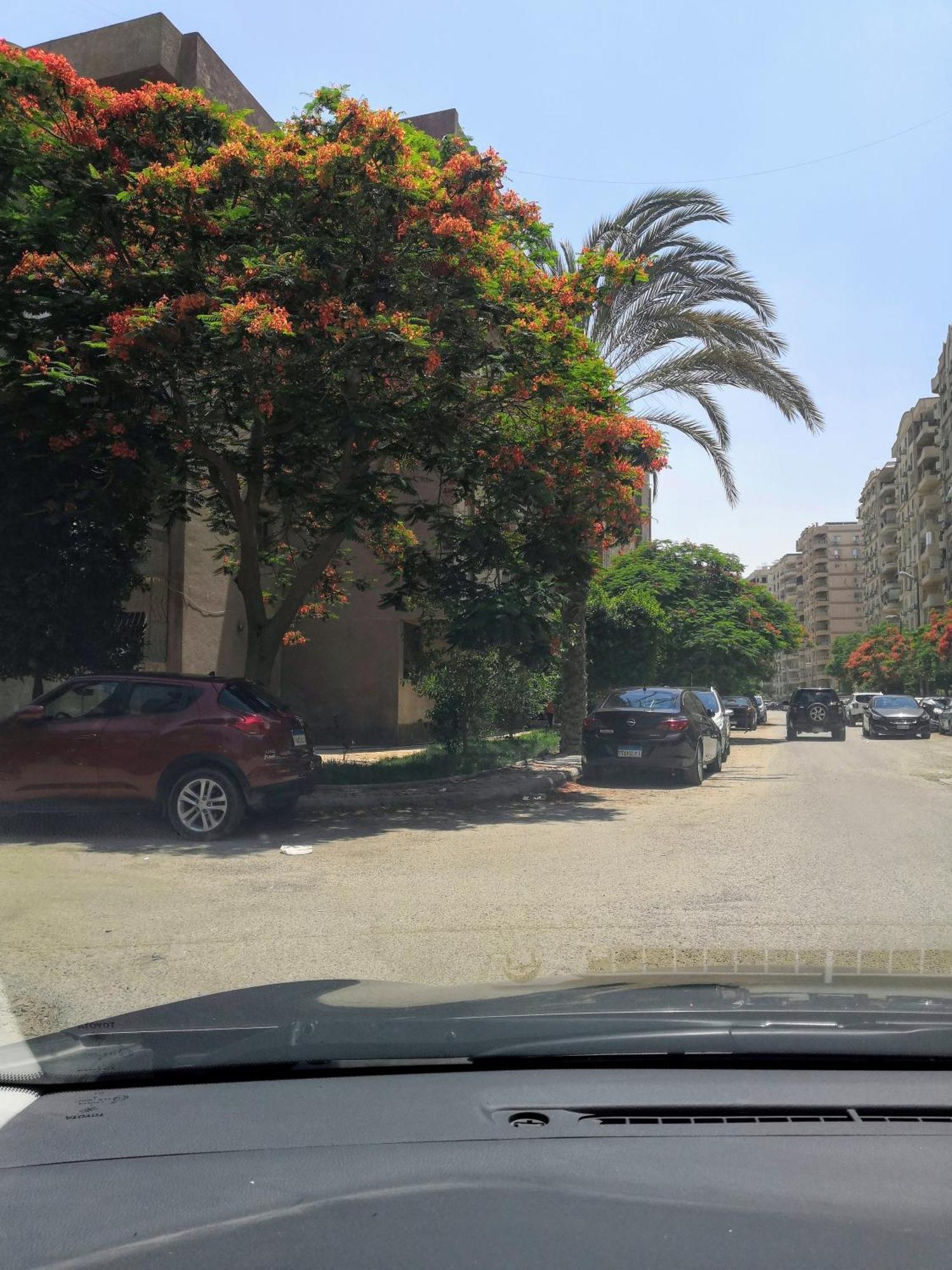 Apartment Maadi Oasis *