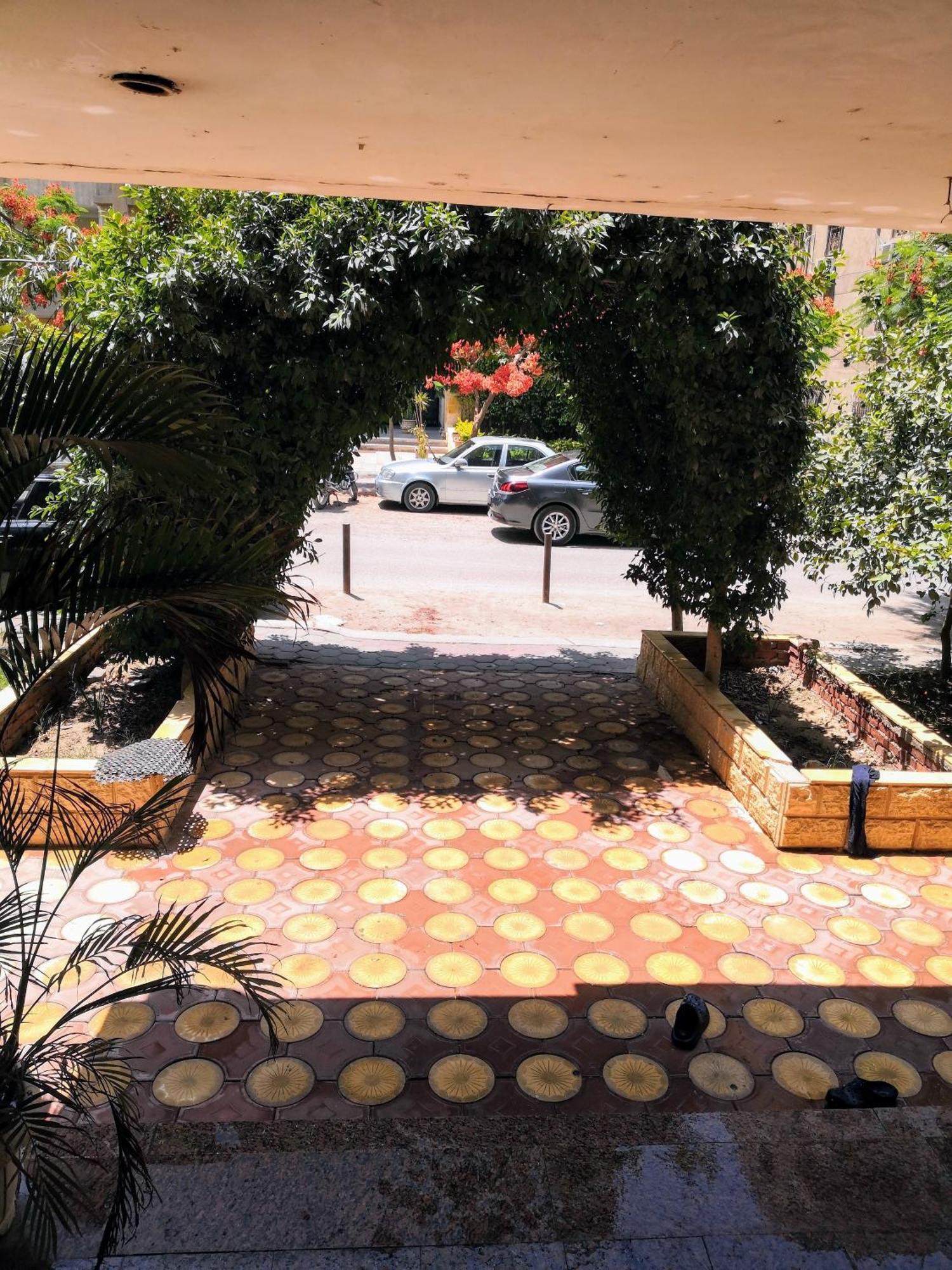 Maadi Oasis