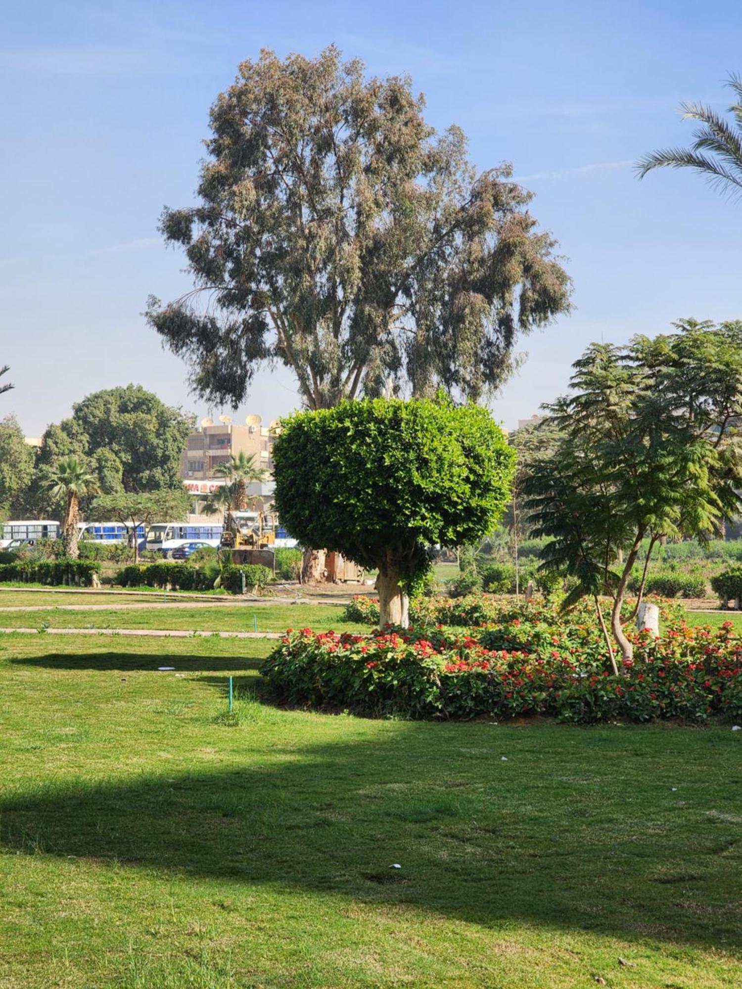 Maadi Oasis Apartment