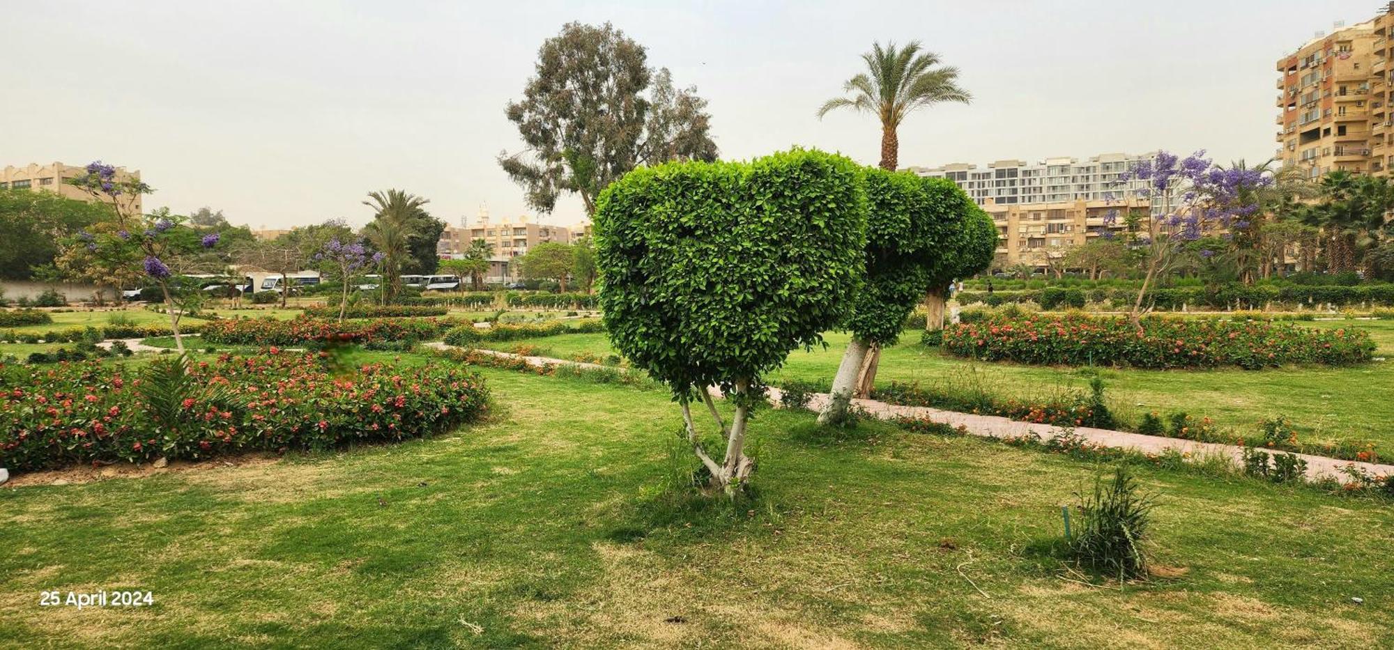 Apartment Maadi Oasis